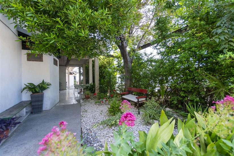 Apartments Luka 15m from the beach