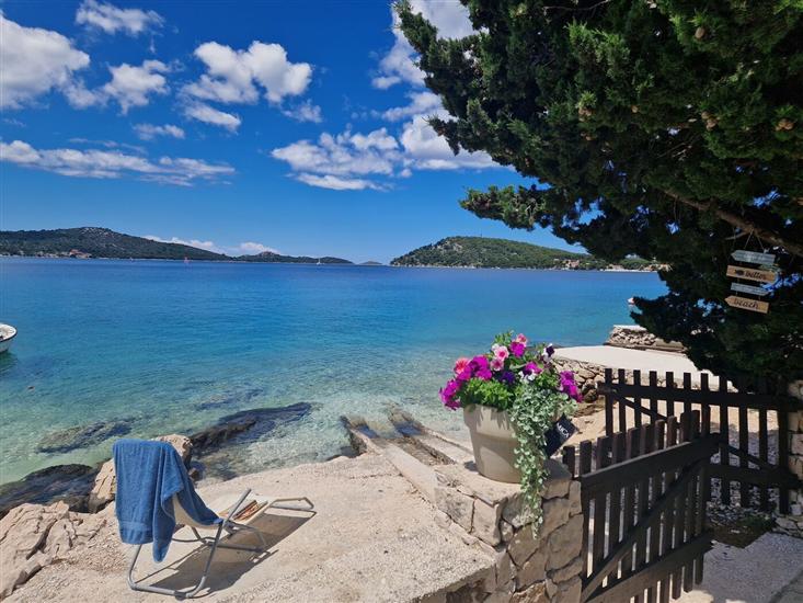 House Spirit of the sea