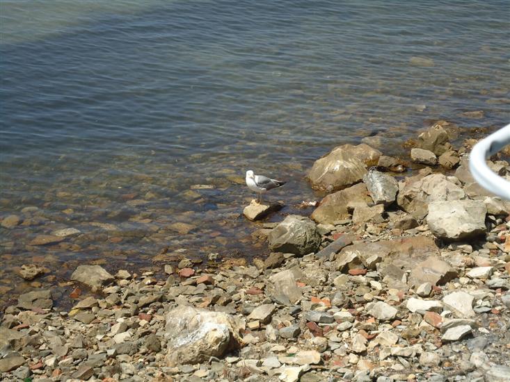 Apartment A1, for 3 persons