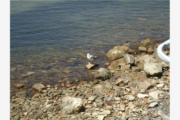 Apartment A1, for 3 persons