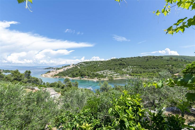 Apartment Sweet Dream Manjiga