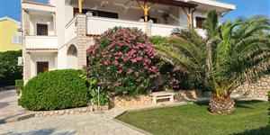 Apartment - Pag - island Pag