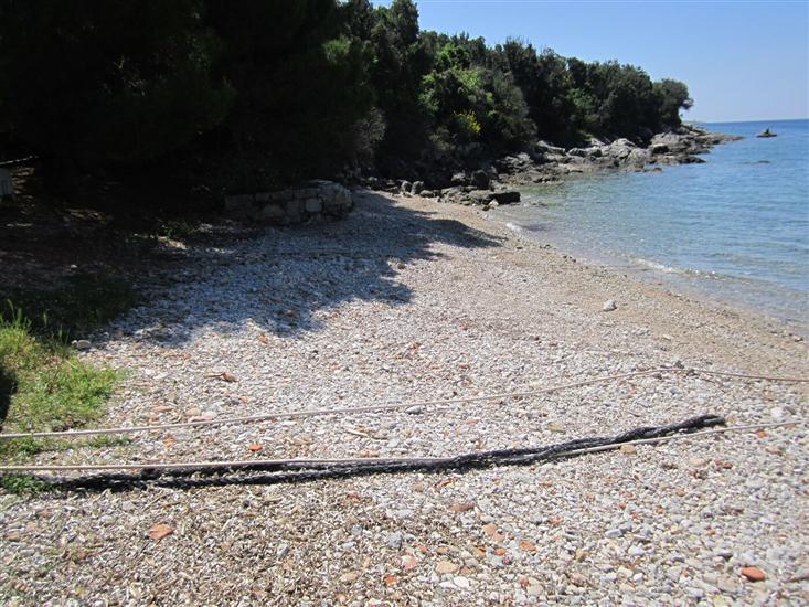 Apartment Lumanera Stivan