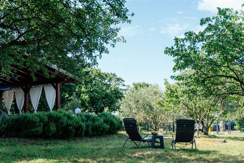 Apartman Peaceful paradise