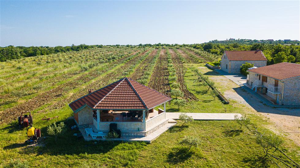 House Stone Curlew 3