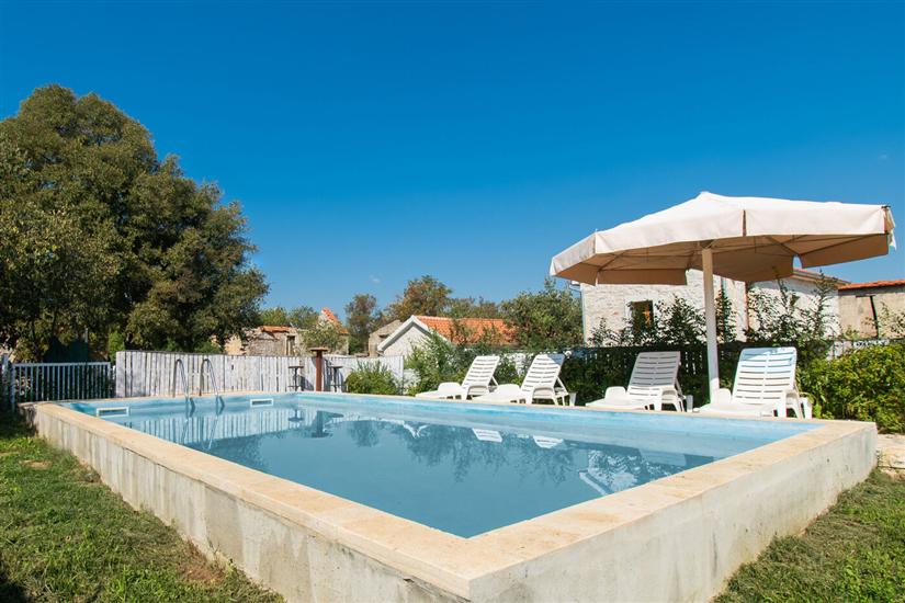 House Stone Curlew 1