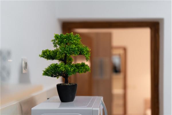 Apartment A1, for 3 persons