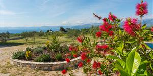 House - Postira - island Brac