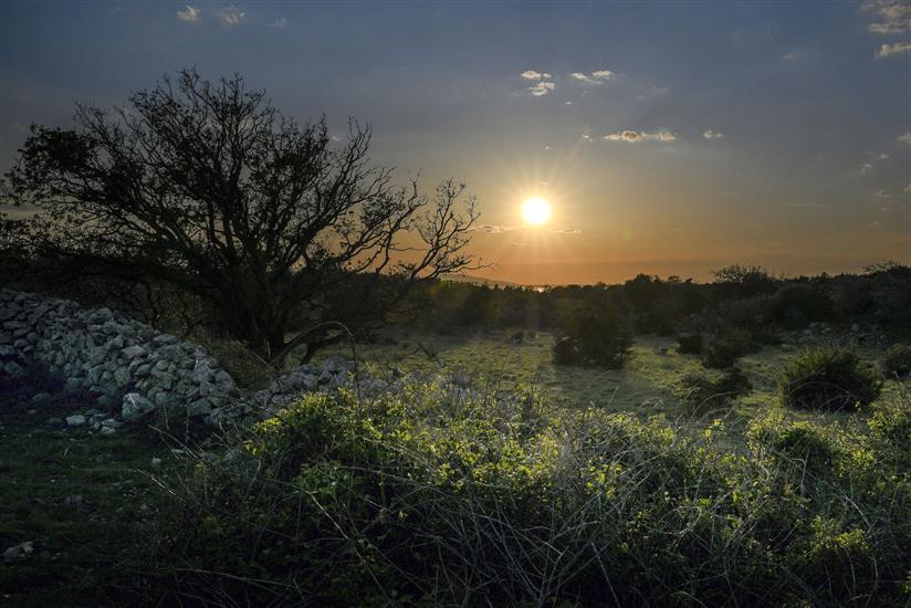 Villa Island Villa Adriana