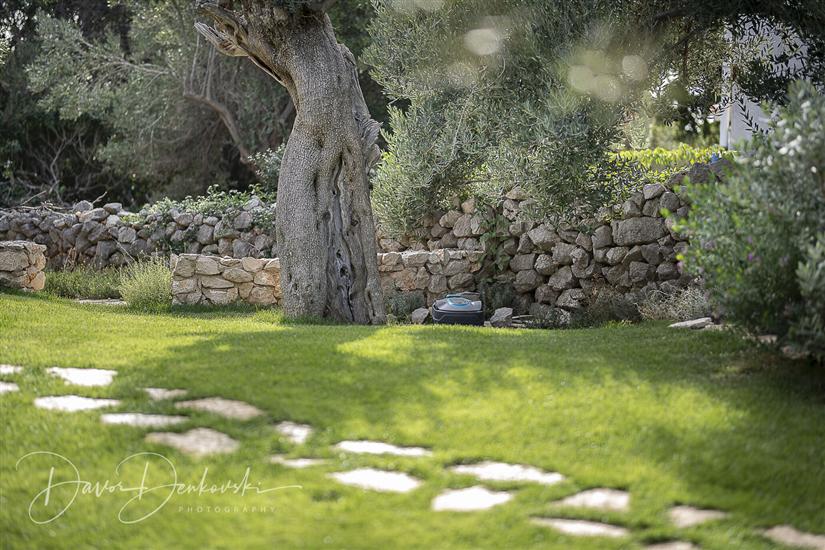 Villa Island Villa Adriana in olive garden