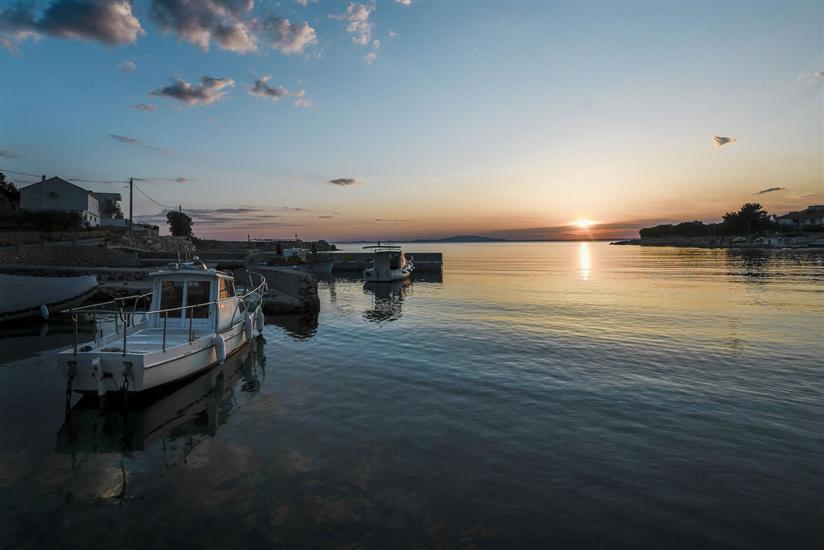 Villa Island Villa Adriana in olive garden