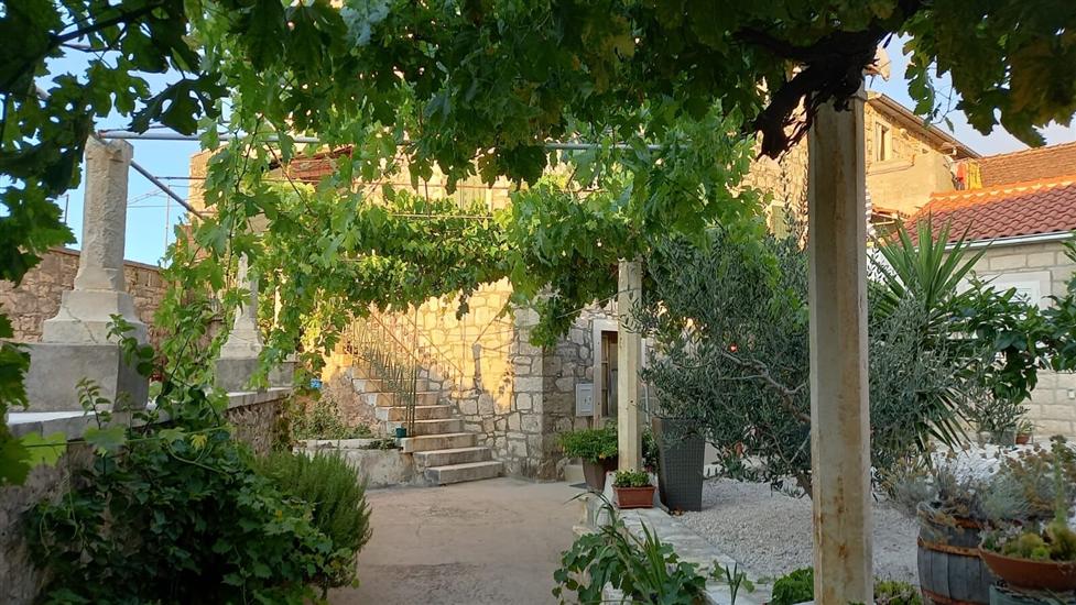 Apartments Ruža vjetrova