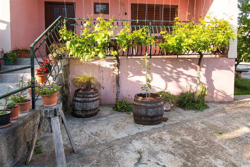 Apartamenty Green Garden