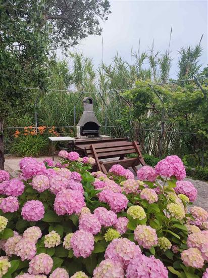 Lägenhet Ankica Valeria