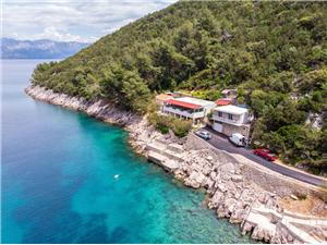 Apartments Jelena Middle Dalmatian islands, Remote cottage, Size 18.00 m2, Airline distance to the sea 30 m