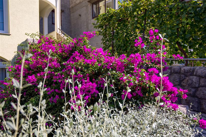 Apartments and Room Slavica