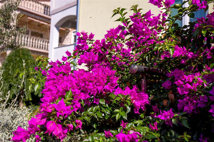 Apartments and Room Slavica