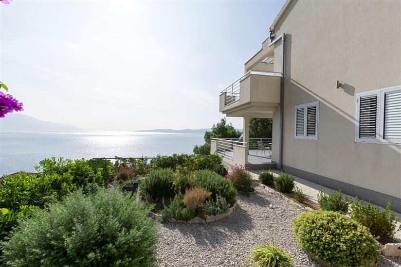 Apartments Olive sea view