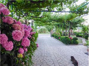 Apartma Kvarnerski otoci,RezervirajCOd 157 €