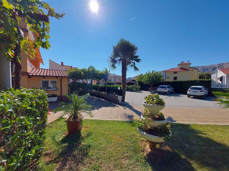 Apartments and Room Boris