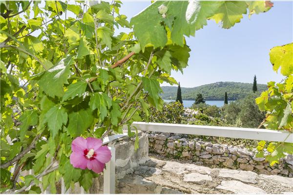 Apartment A1, for 3 persons