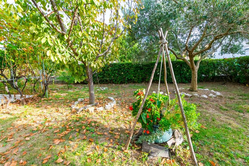 Lägenheter Frankica