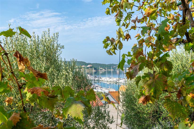 Apartment A1, for 3 persons