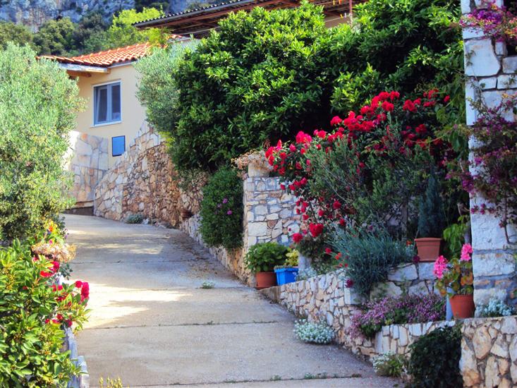 Apartments Eastern Paradise