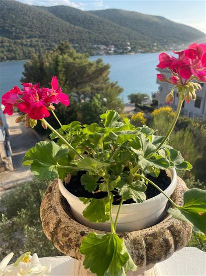 Apartment A2, for 6 persons