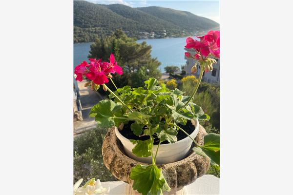 Apartment A2, for 6 persons