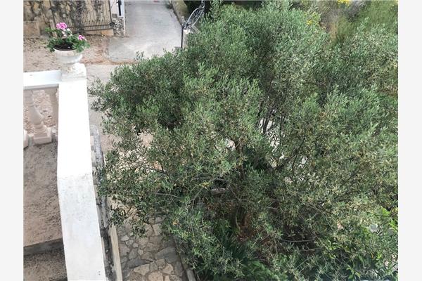 Apartment A2, for 6 persons