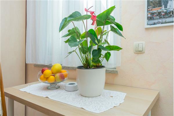 Apartment A1, for 3 persons