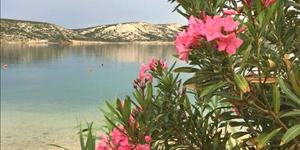 Apartment - Stara Novalja - island Pag