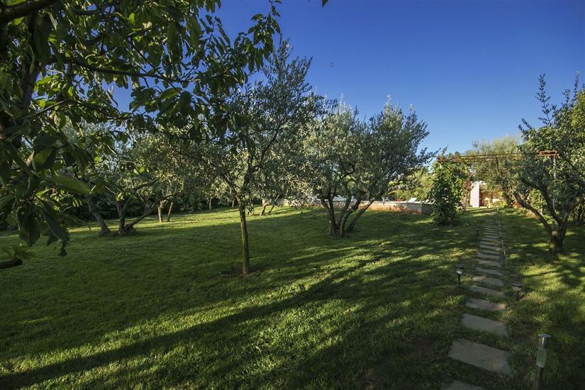 Apartment Residence Livija 4 s bazenom