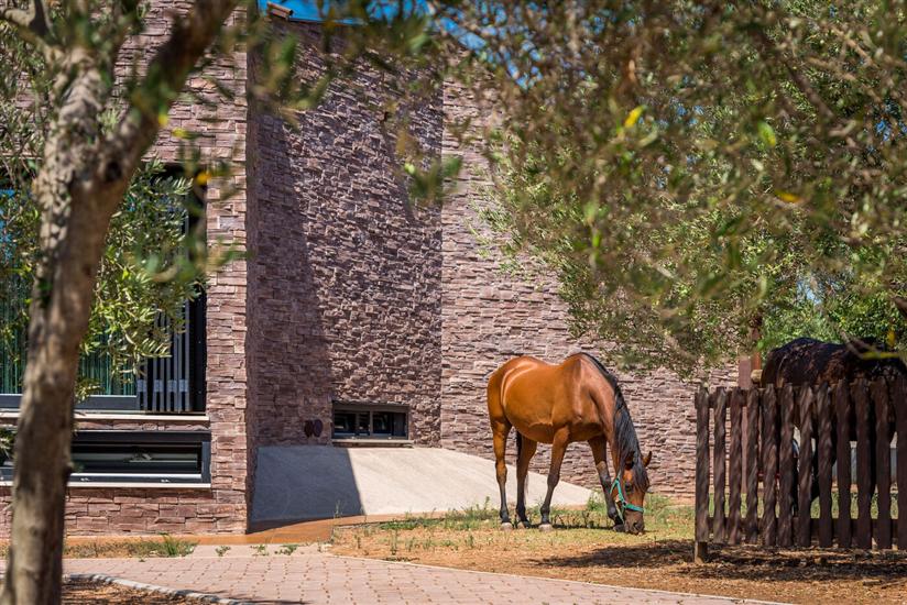 Villa Horse house