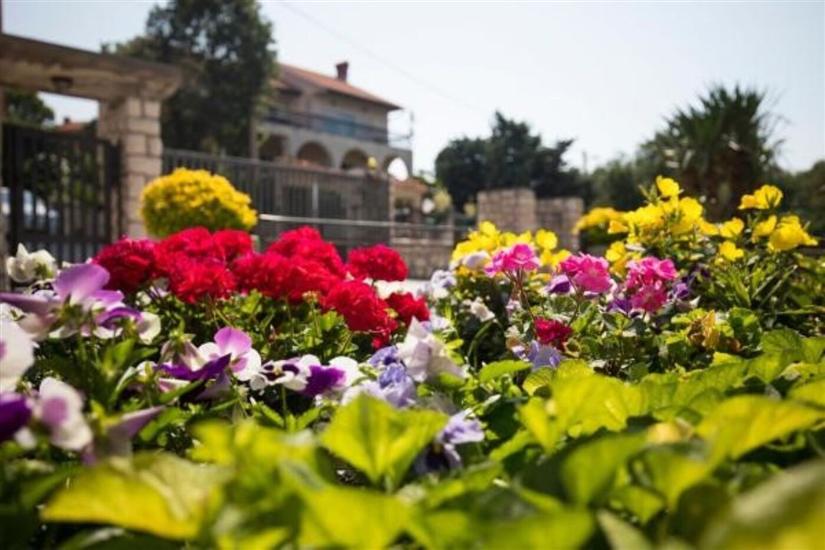 Apartment Vrata Jadrana