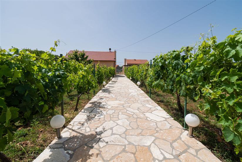 Hiša Runaway Cottage