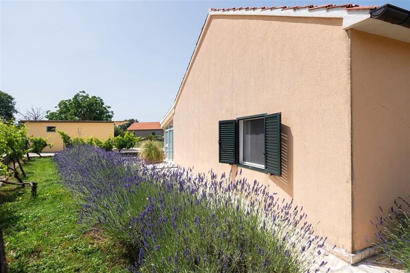 Hiša Runaway Cottage