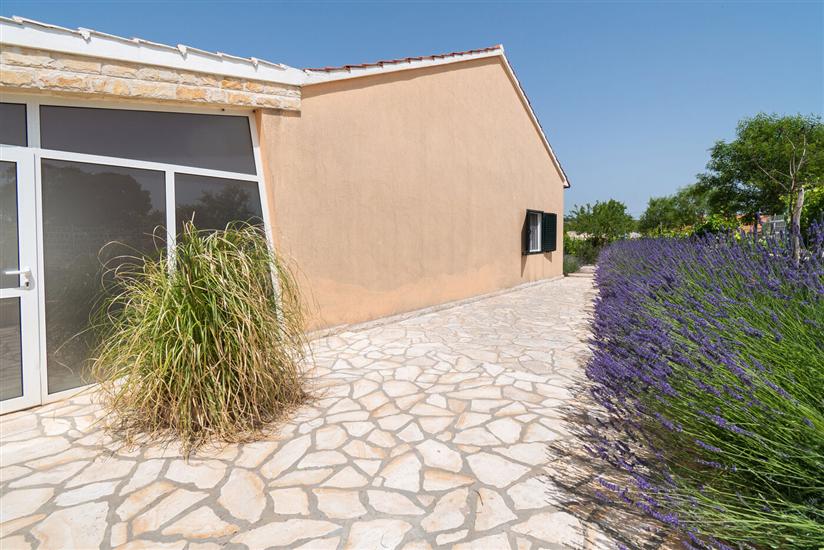 Hiša Runaway Cottage