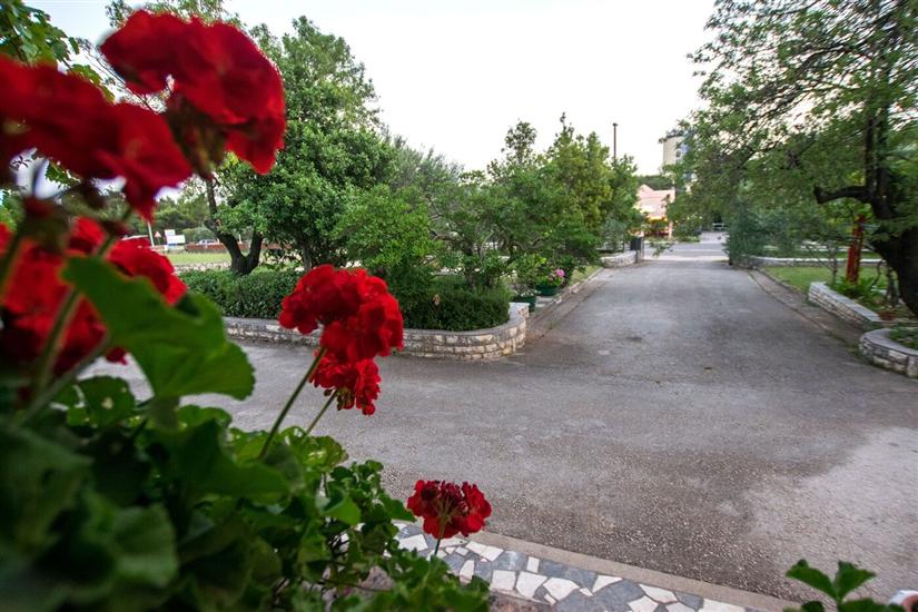 Apartments and Room Adriana