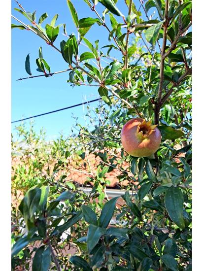 Apartment A3, for 2 persons