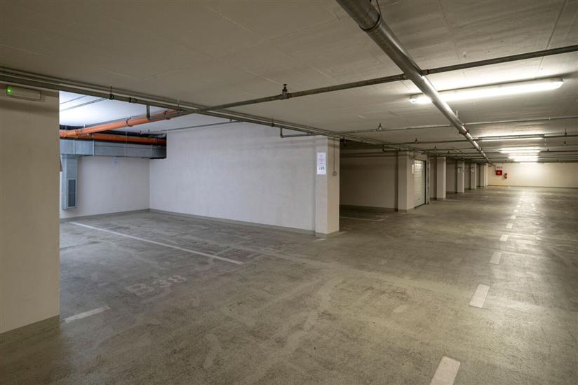 Ferienwohnung Garden Palace 228