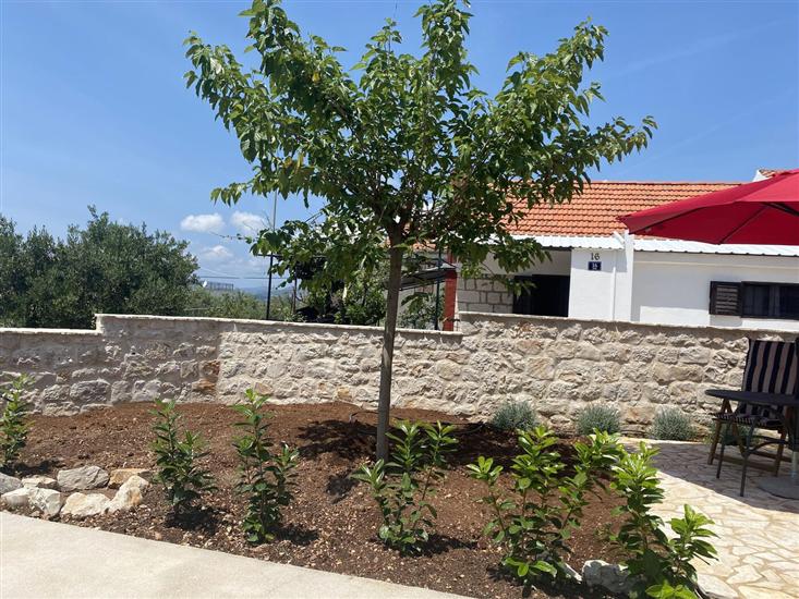 House Little Flower 1