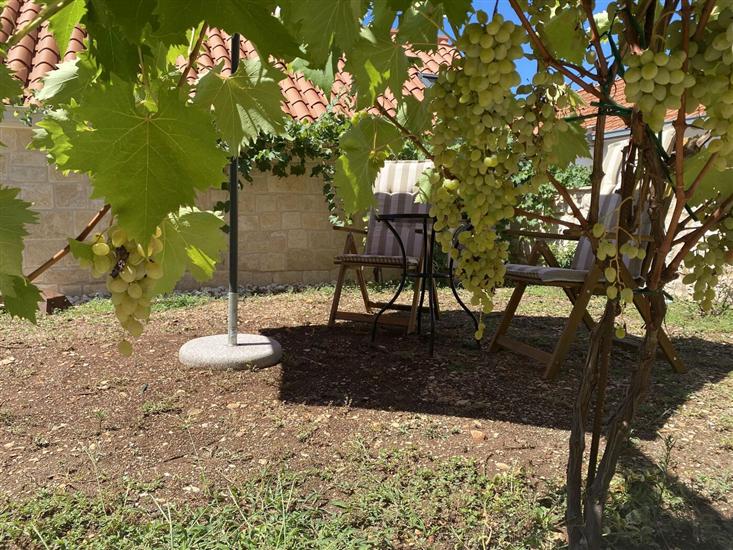 House Little Flower 2