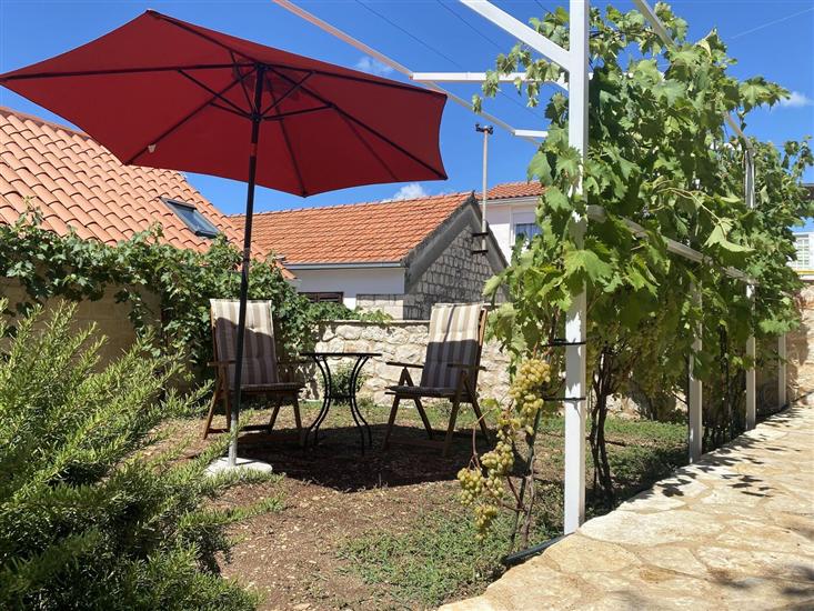 House Little Flower 2