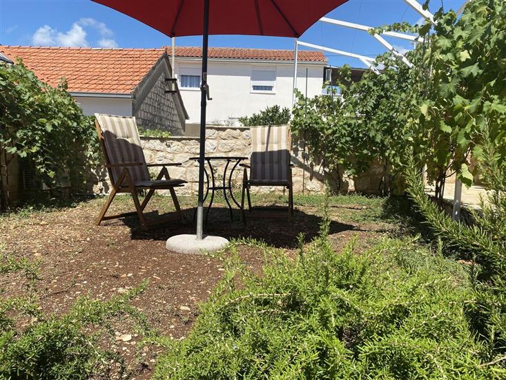 House Little Flower 2