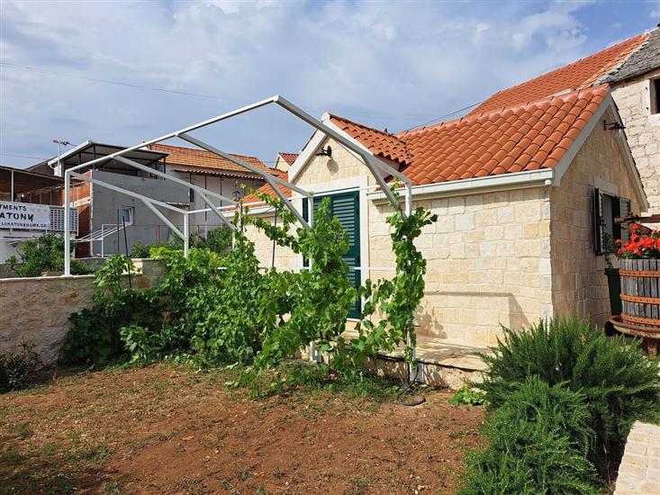 House Little Flower 2