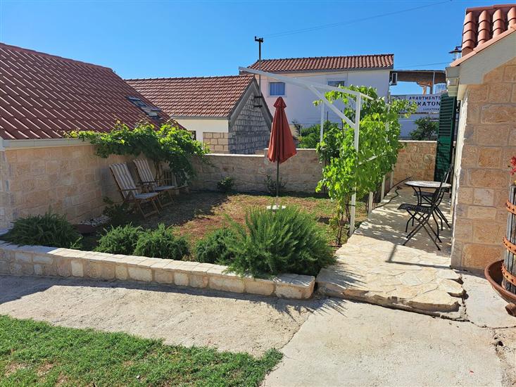 House Little Flower 2