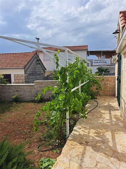 House Little Flower 2