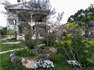 Room Blue Istria,BookMarkovFrom 107 €